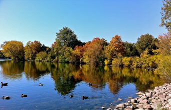 Lake Arthur