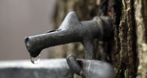 Backyard Maple Sugaring