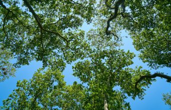 Slippery Rock Community Park
