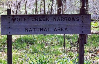 Wolf Creek Narrows Natural Area