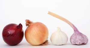 Looking To Hire Summer Camp Kitchen Help