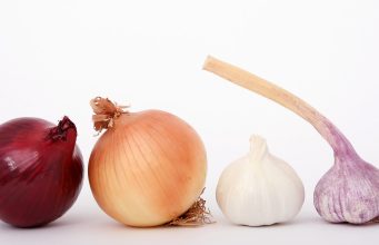 Looking To Hire Summer Camp Kitchen Help