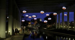 Meet Kelley Phillips