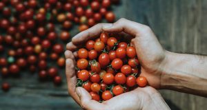 Food Justice Class Stirs Students