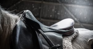 Barn Girl Surpasses $800,000