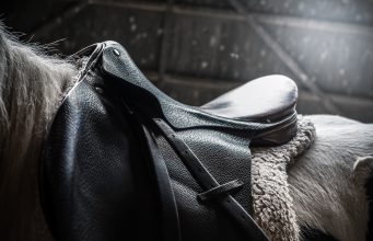 Barn Girl Surpasses $800,000